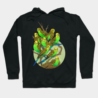 Green and Gold Budgies Hoodie